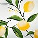 DII Lemon Bliss Tabletop Collection, Table Runner, 14x72
