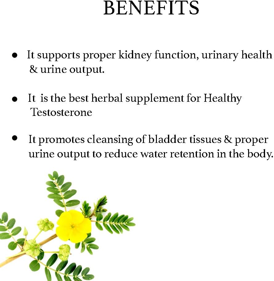 Tribulus Terrestris Powder (Gokshura/Gokhru) | Supports Proper Kidney Function & Urine Output |Herbal Supplement for Healthy Testosterone Levels – by Bixa Botanical (16 Oz / 1 Pound): Health & Personal Care