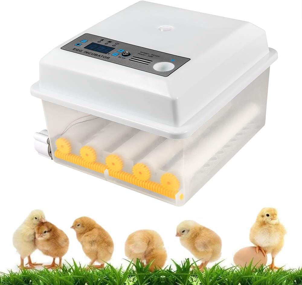 InLoveArts Digital Egg Incubator 16 Eggs Home Use Automatic Hatcher
