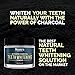 Activated Teeth Whitening Charcoal Powder - Best Activated Charcoal Tooth Whitener - Made in USA - Perfect for Healthier, Whiter Teeth the Natural Way - Mint Flavor.