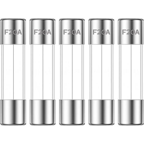 Amazon.com: 6 PCS 5304509451 Microwave Slow-Blow Fuse Ceramic Fuse  