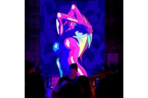 QGHOT Sexy Tapestries, Blacklight Women Tapestry for Adults Sex Art Wall Hanging Vertical Naked Girl Posters Wall Tapestry for Adult Bedroom College Dorm Decor 37x29 in