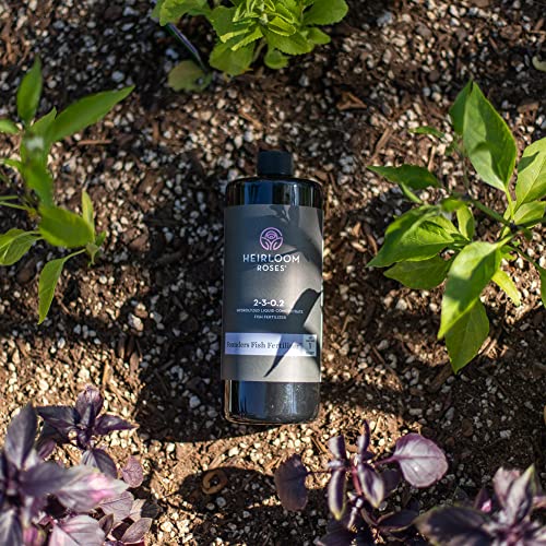 Heirloom Roses Founder’s Fish Fertilizer Plant Food for Plants, Organic Liquid Emulsion