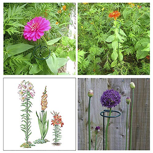 Alapaste 18-Inch Single Plant Stem Support Stakes with 3-Inch Hoop, 3-Pack