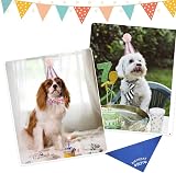 Fantasyon Dog Cat Birthday Hat with Bow Tie Pink Adjustable Reusable Party view 4