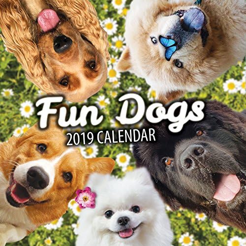 Fun Dogs 2020 Dog Wall Calendar