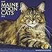 Just Maine Coon Cats 2018 Wall Calendar by 