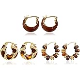 Brown Earrings Jewelry Sets Boho Gold Hoop Earrings for Women Boho Jewelry Accessories Brown Beaded Hoop Earrings Set Outfit Trendy Jewelry Gifts