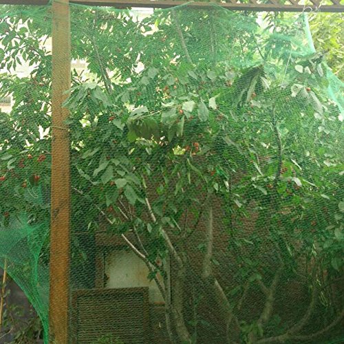 Anti Bird Protection Net with 100Pcs Nylon Cable Ties - 13Ft x 33Ft Green Bird Netting Protection for Plant - Thumbnail 3