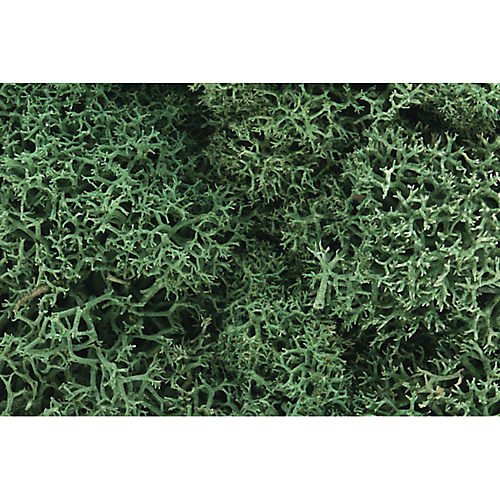 Woodland Scenics Lichen, Light Green WOOL162