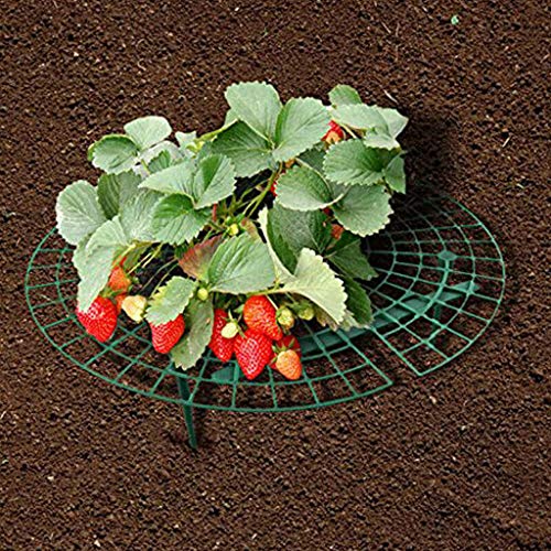 Bravetoshop Strawberry Planting Rack,Strong Gardening,Strawberry Supports Keeping Fruit Elevated to Avoid Ground Balcony Planting Rack (10) - Thumbnail 2