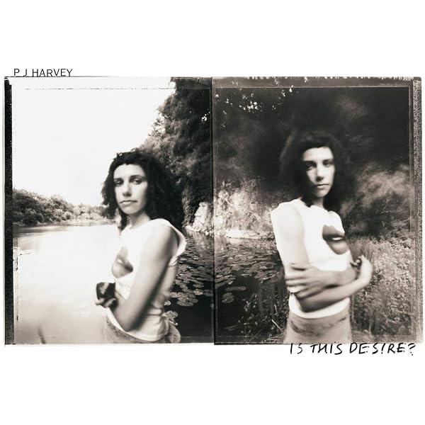 PJ Harvey - B-Sides, Demos & Rarities[6 LP Box Set] - Amazon.com Music