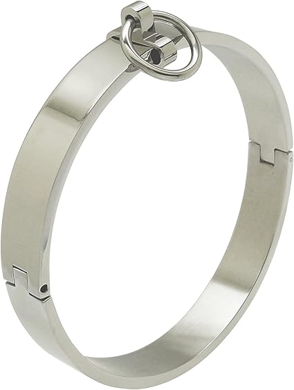 silver dog collar necklace