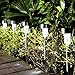 HM-TECH Solar Outdoor Garden Lights Led Path Landscape Lighting Solar Pathway Lights for Lawn Patio Yard Walkway (Stainless Steel) - 12 Pack with 2 Standby Light Taps