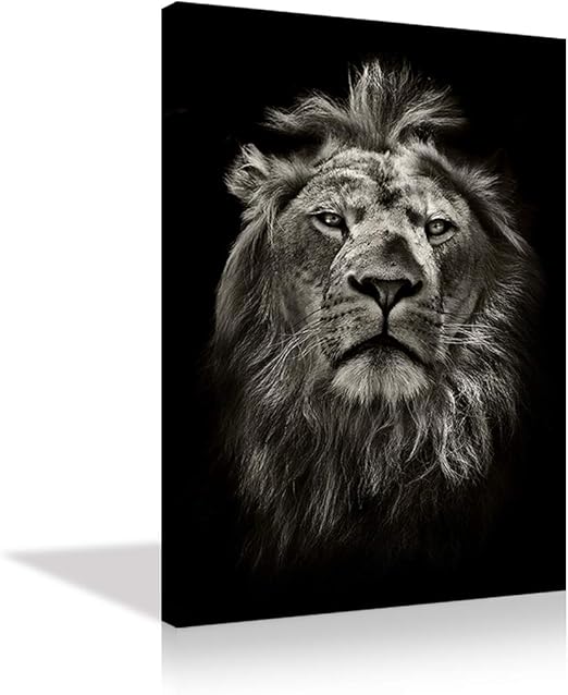 Amazon Com Kalawa Black And White Gray Lion Head Portrait Wall Art Painting Pictures Print On Canvas Animal The Picture For Home Modern Decoration 16 W X 24 H Lion Art29 Posters Prints