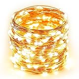 String Lights Fairy Copper lights, 16ft 50 LED Fairy Starry String Lights AA Battery Powered Rope Lights Decorative String Lights for Christmas Wedding Home Indoor Outdoor Decorating (Warm White)