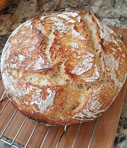 Organic San Francisco Sourdough Starter Dehydrated