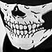 COM4SPORT Seamless Skull Face Tube Mask Pack of 4