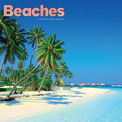 2019 Beaches Mini Calendar by Trends International
