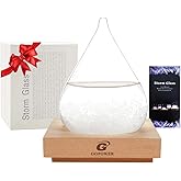 Storm Glass Cool Unusual Gifts Storm Glass Weather Predictor Snow Globes for Adults Galileo Thermometer Indoor Creative Forecast Nordic Style Decorative Weather Gifts