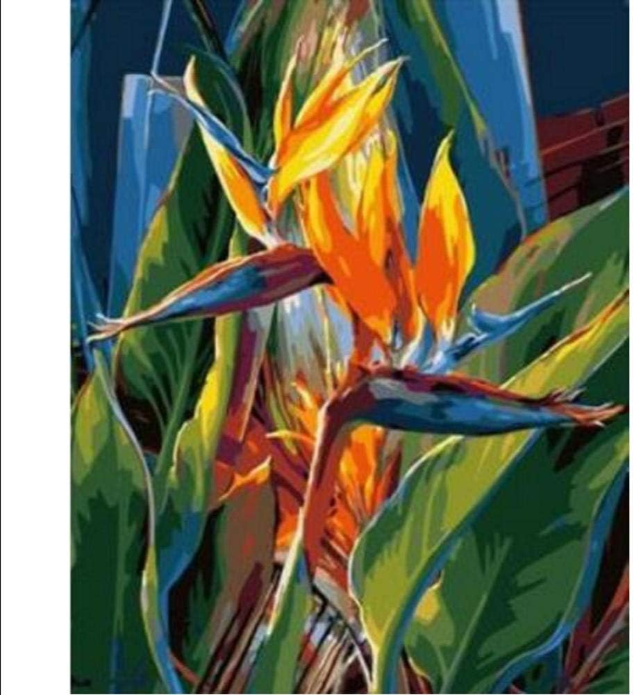 DIY Oil Painting Strelitzia royal flower Paint By Number Kit Diy Acrylic Painting On Canvas cuadros decoracion for home decor-With Frame
