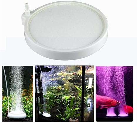 Amazon Co Jp Crieryok 水族館エア盤 エアーポンプ Co2拡散器 気泡放出 セラミックス制 水槽用空気盤 水槽装飾 酸素補給 気泡盤 細かい気泡が出す 新鮮な空気を維持 水の循環が良い 魚タンク 水族箱 水槽用 エアーストーン 観賞魚 熱帯魚 丸形 N50 N0 ホーム キッチン