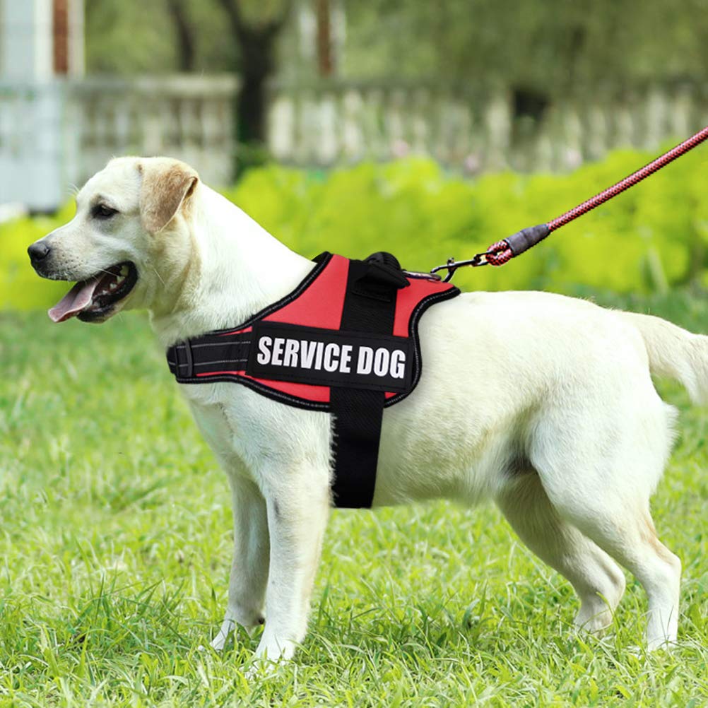 fayogoo dog harness