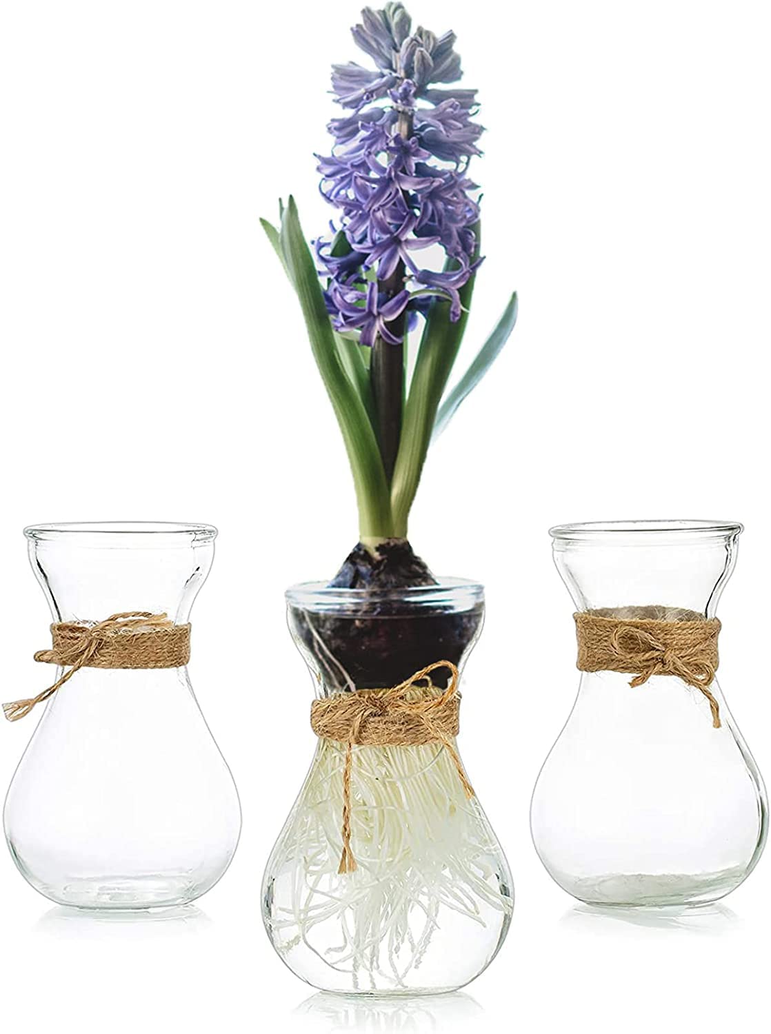 Hyacinth Bulb Vase Hyacinth Vase: Hewory 3pcs Small Vases for Table Decoration Centrepiece - Glass Bud Vases Propagation Station for Hyacinth Bulb Growing Flowers Gifts for Plant Lovers Home Decor