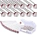 EAONE 60 Pieces Photoresistor Kit, 5mm Photo Light Sensitive Resistor Light Dependent Resistor with Free Box for Arduino DIY and Experiments, GM5539