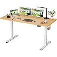 Furmax Electric Height Adjustable Standing Desk Large 63 x 24 Inches Sit Stand Up Desk Home Office Computer Desk Memory Preset with T-Shaped Metal Bracket, Wood
