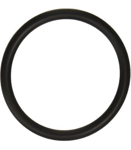 Hayward SPX4000FG Drain Plug And Gasket With O-ring Mounting Plate Replacement For Select Hayward Pump And Filter