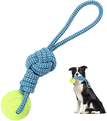 are dog rope toys safe for hamsters Knot-n-Chew