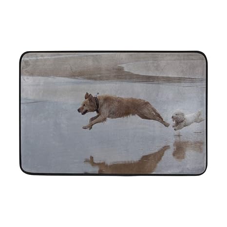 Amazon Com Rh Studio Carpet Dog Run Jump Water Doormat