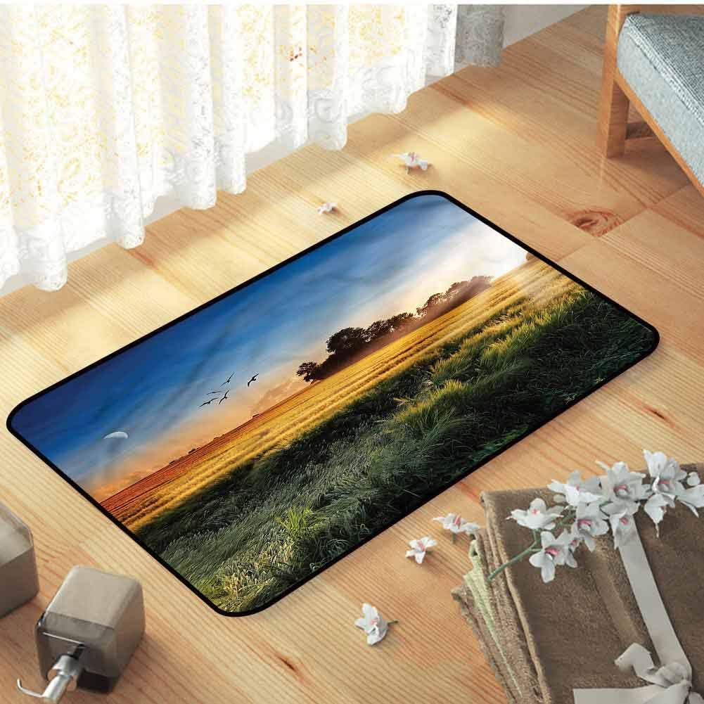 FOEYESEE Cat Doormat Landscape Meadows in Windy Morning 29.5"x39.3" Shoes Off Doormat