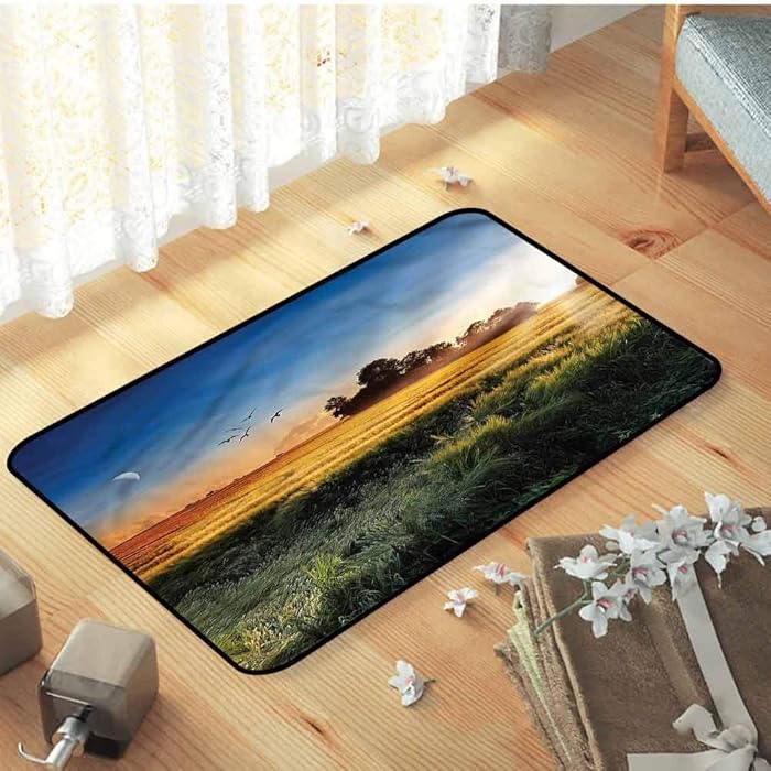 FOEYESEE Cat Doormat Landscape Meadows in Windy Morning 29.5"x39.3" Shoes Off Doormat