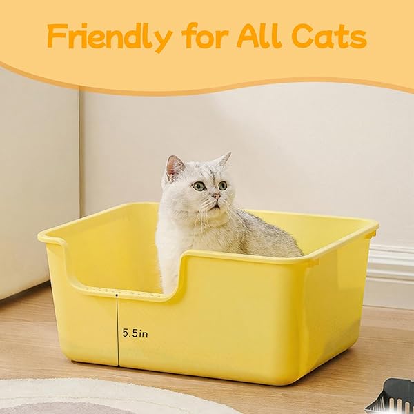 LOOPTIME LARGE CAT LITTER BOX WITH HIGH SIDES,CAT LITTER PAN WITH LOW ENTRY,CAT BOX FOR INDOOR KITTENS & SENIOR CATS,ANTI-SPLASHING,WATERPROOF,EASY TO CLEAN,DURABLE (WHITE)