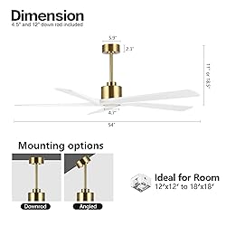 WINGBO 54 Inch DC Ceiling Fan without Lights, 5