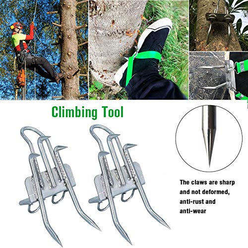 HEYJUDY Tree Climbing Tool Pole Climbing Spikes 304 Stainless Steel Trong Bearing Capacity Anti-Rust Anti-wear Easy to Carry for Picking Fruit Coconut