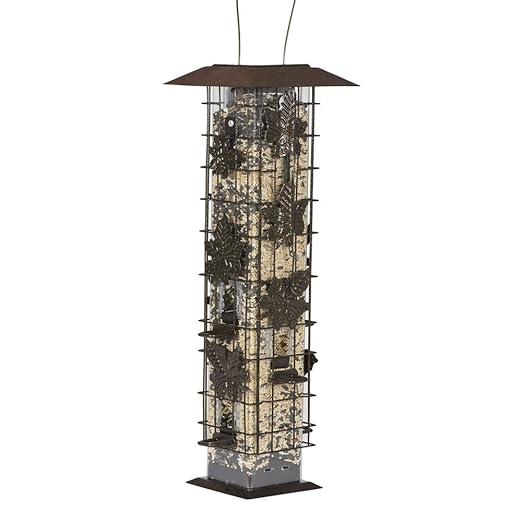 Best Squirrel Proof Bird Feeders Reviews Compare Top 10 Squirrel