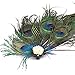 Auranso Flax Hair Clip Feather Party Fascinator Headband Green Green