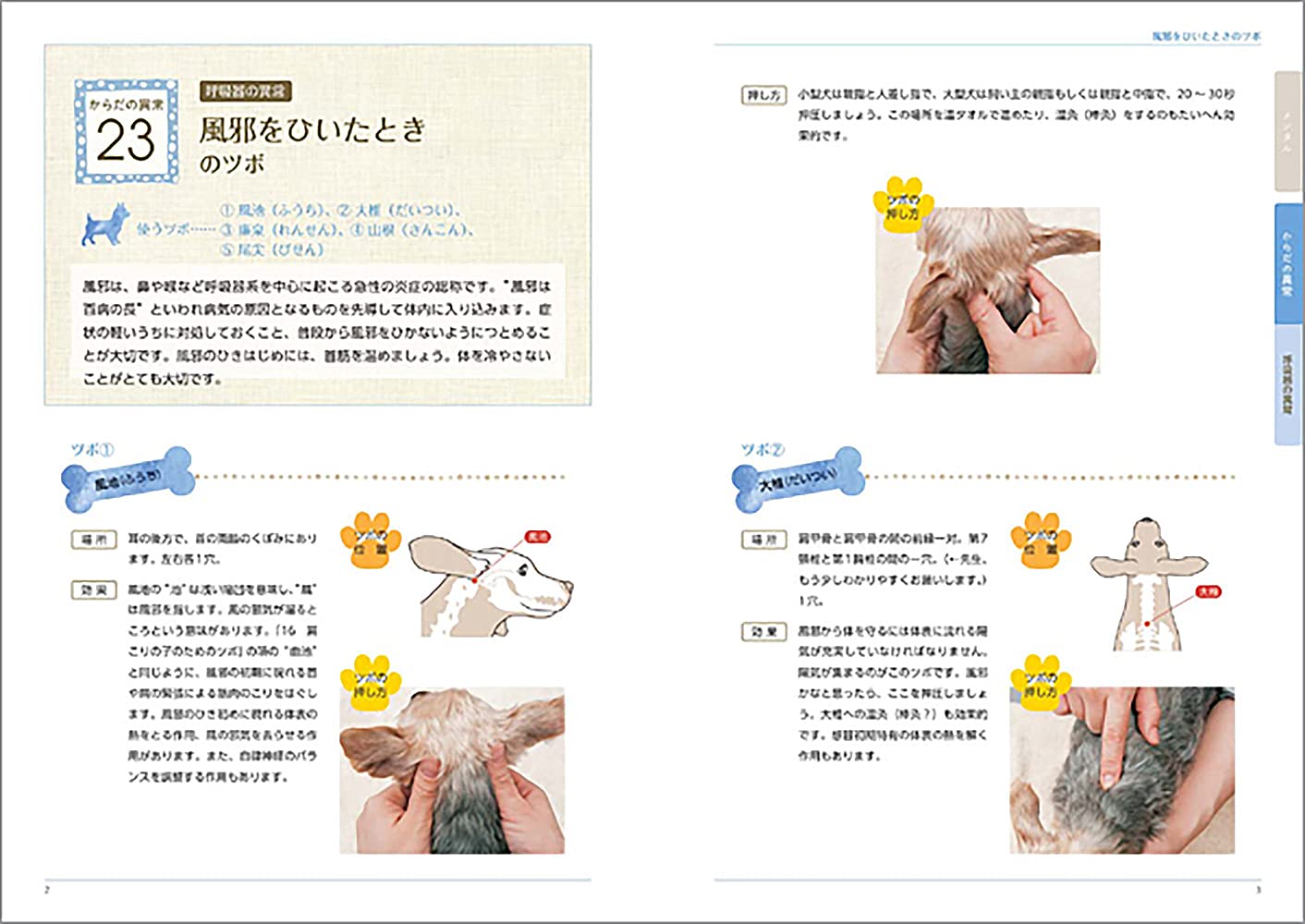 犬のツボ押しbook ワンちゃんの病気予防と健康管理に 石野 孝 相澤 まな 本 通販 Amazon 犬のツボ押しbook ワンちゃんの病気予防と健康管理に 石野 孝 相澤 まな 本 通販 Amazon