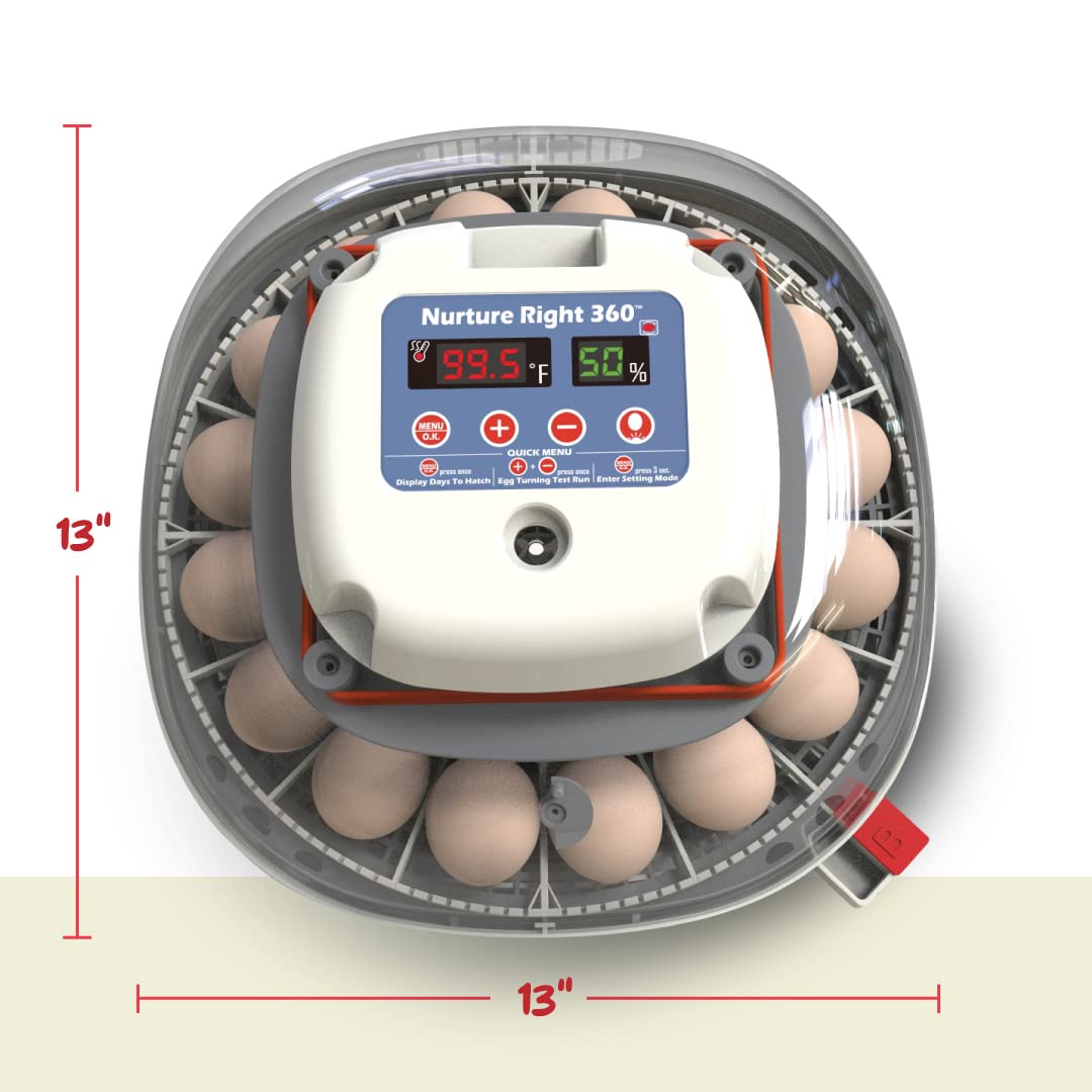 Harris Farms Nurture Right Egg Incubator for Hatching Chicks, Holds 12-22 Eggs, Automatic Turner with Temperature and Humidity Control, 360 Degree View with Clear Window, Incubator for Chickens