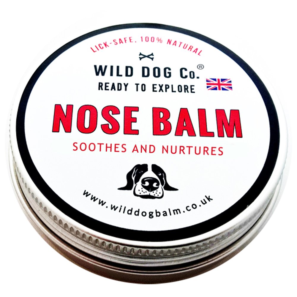 Dog Nose Balm, works fast, nose butter, repairs crusty, dry cracked flaky dog noses and lips, made in the UK. 60g tin snout soother
