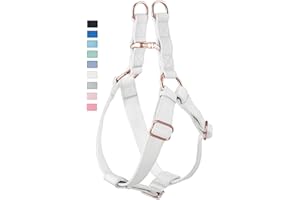 AAUFILUX Soft Leather No Pull Dog Harness - Adjustable Step in Dog Harness with Rose Gold Heavy Duty Metal Buckle, Freedom Nylon Dog Halter Vests for Small Medium Large Dogs Easy Walking Training (White,S)