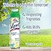Lysol Max Cover Disinfectant Mist, Brighter Horizon, 15oz