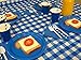 Blue Gingham Picnic / Party Plastic Tablecloth Roll, Disposable Picnic colored Table cloth On a Roll With Self Cutter Box,Cut Tablecloth To Your Own Table Size,Indoor/Outdoor, By Clearly Elegant