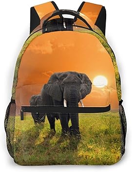 fashion leisure backpack