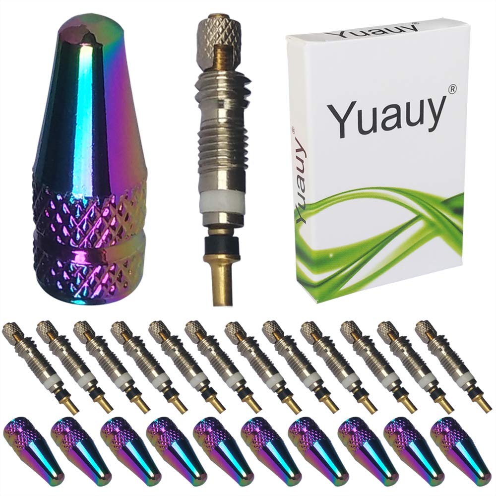Yuauy 10 PCs Tubeless No Tube Valve Stem Core Copper Universal Accessory replacement + 10 pcs Fantasy Colorful Metal Bike Bicycle Road Racing Coloured Style Valve Cap Dust Covers