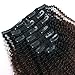Sassina Ombre Afro Curly Clip in Extensions Double Wefts Human Hair Weave For Black Women 1B Off Black Fading into Light Chocolate Brown 120 Grams 7 Pieces/Set With 17 Clips AC 1BT4# 20 Inch