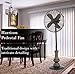 DecoBREEZE Pedestal Fan Adjustable Height 3 Speed Oscillating Fan, 16 In, Harrison